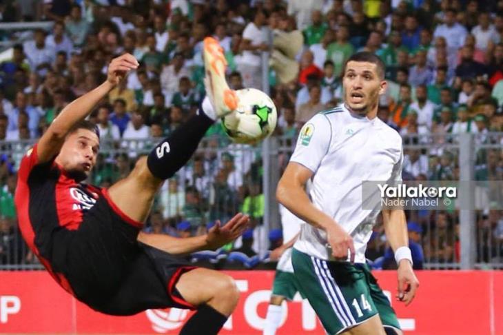 محمود وادي محمود وادي